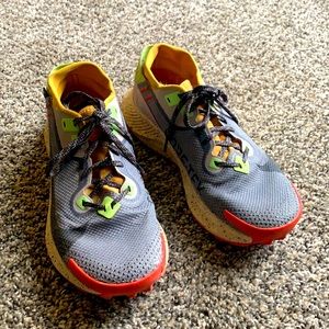 Nike Pegasus size 8.5 gore-Tex!